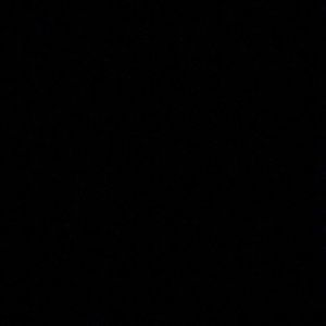 Meet your Posher, Cody